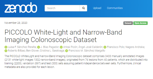 lfernanda_paper_description